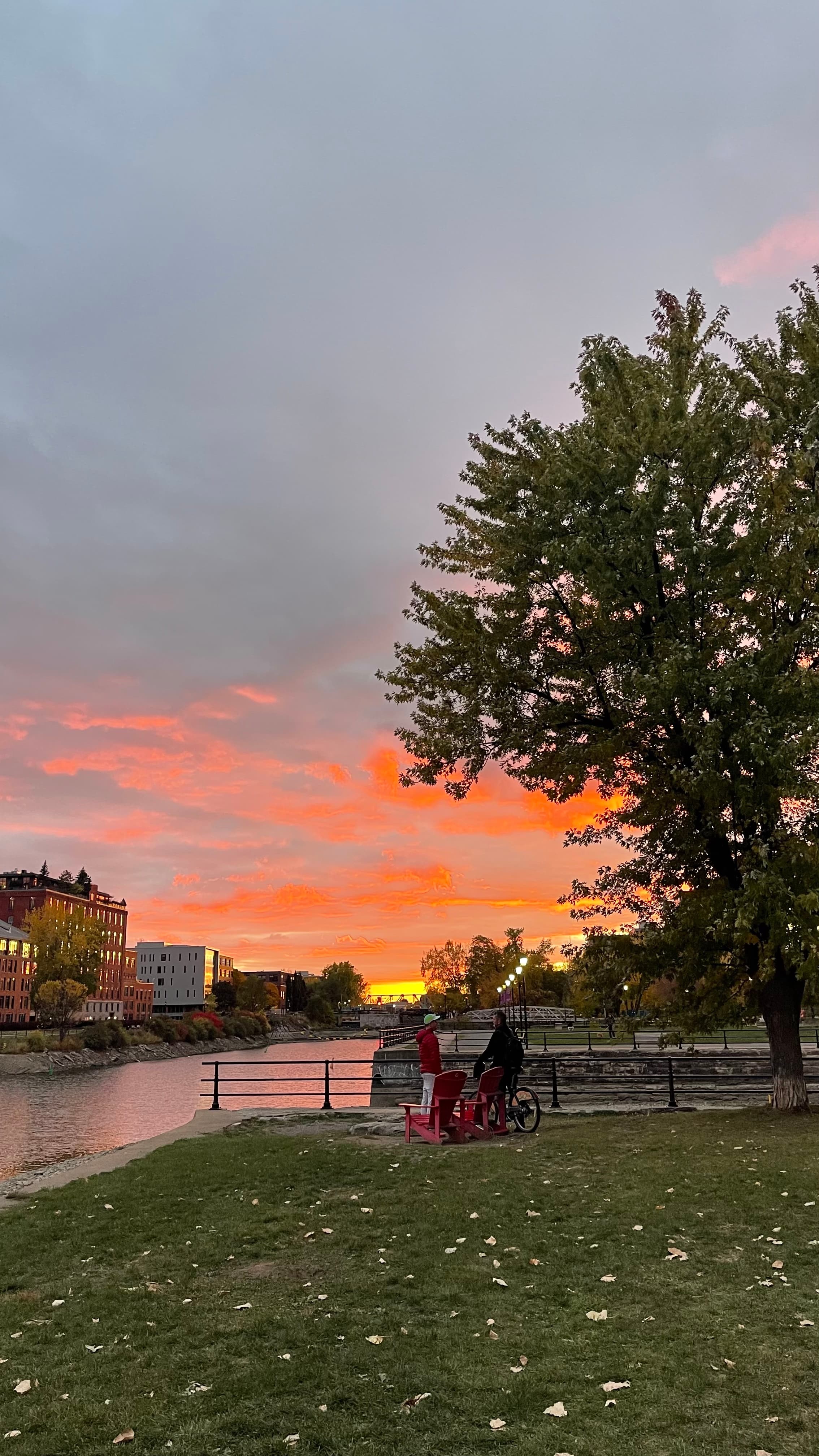 Most perfect walks in MTL